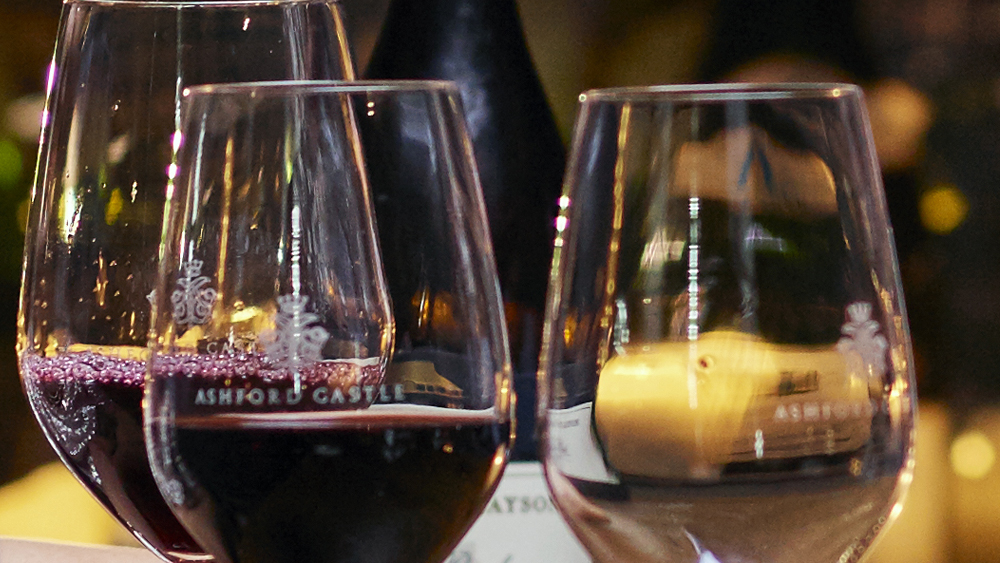 Bordeaux Red Wine Tasting